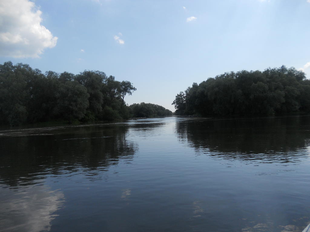 Pensiunea Cristal Tulcea Exteriör bild