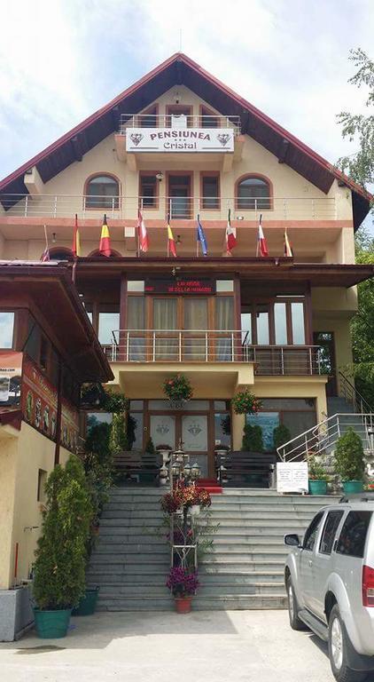 Pensiunea Cristal Tulcea Exteriör bild